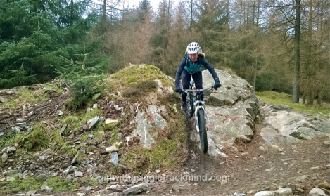 The North Face Trail, Grizedale